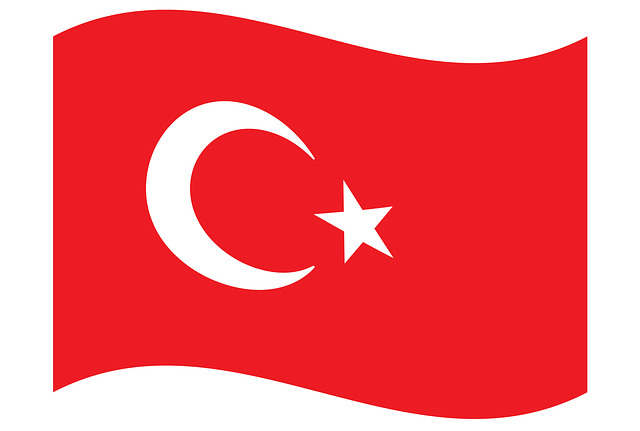 Türk Bayrağı
